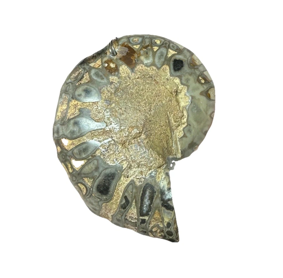 Raro ÚNICO Collar Colgante Gigante Cuarzo Geoda Cristal Fósil Amonita Foto 4 de 4