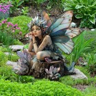 Bild 11 von 12