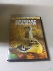 Shelf172 Dvd~ Best Of Season Two Meerkat Manor