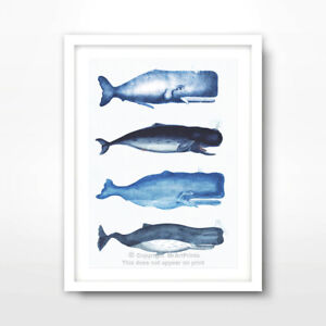 Whale Chart Poster