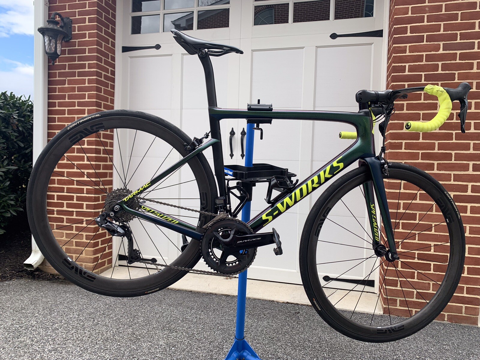 specialized chameleon green