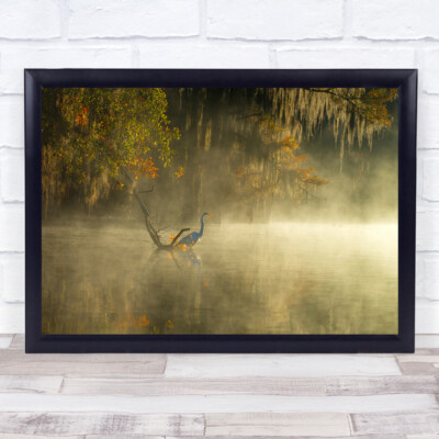 Caddo See Nebelreiher Landschaft Tierwelt Wild Natur Tiere Wandkunstdruck