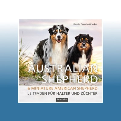 Australian Shepherd & Miniature American Shepherd | Kerstin Fingerhut-Pluskat