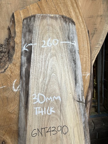 Camphor Laurel Timber Slab - 1.88m Long, GNT4390 - Picture 6 of 8