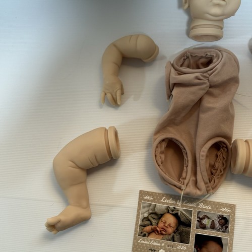 Leelou by Cassie Brace Reborn Doll Kit ~ SOLD OUT LE /620 ~ New & Unpainted - Picture 4 of 6