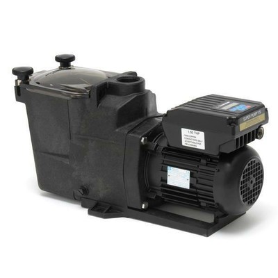 Variable Speed Pool and Spa Pump, 230V SP2600VSP ...