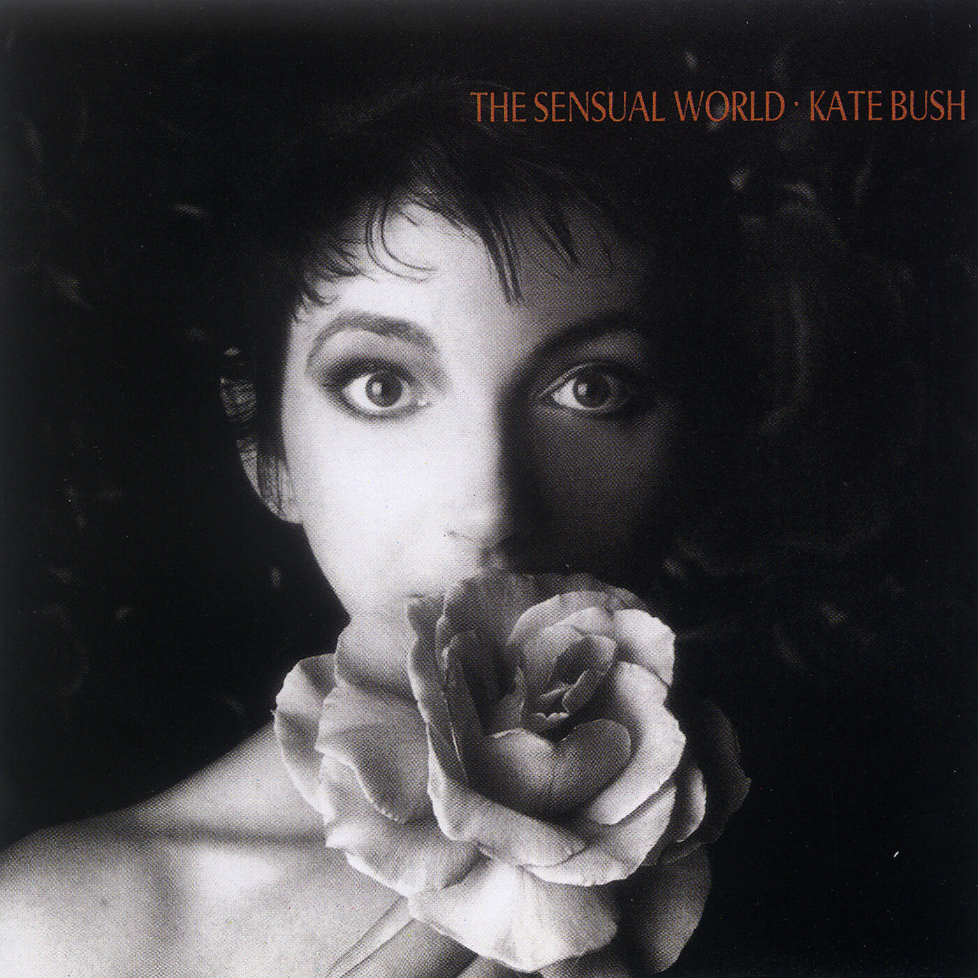 Kate Bush The Sensual World (CD) Album