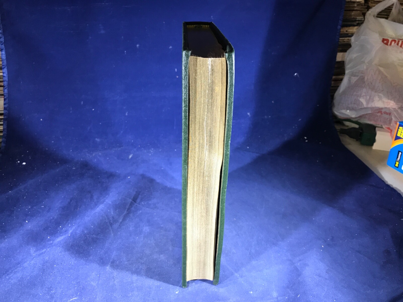 Picture 6 of 11