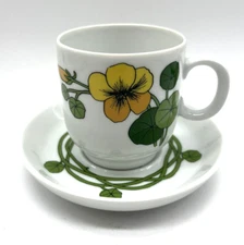Vintage Thomas Rosenthal Germany Nasturtium Tea Cup Saucer set