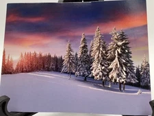 Buffini & Co. Snow Covered Trees Winter Scenery 24 Blank Note Cards & Envelopes