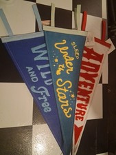 Adventure Felt Pennant Flag Set Camp Of 3 Decor Den Collegiate Sport Boys Room