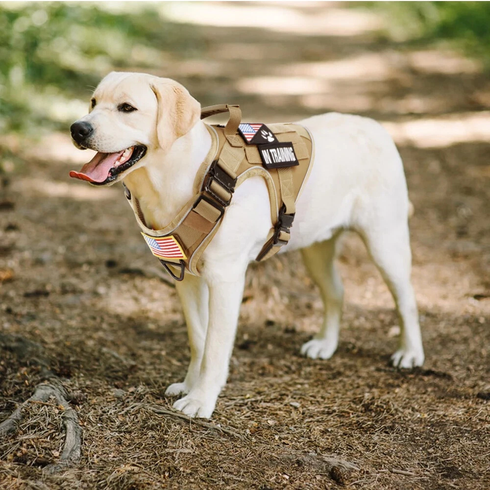 Dog Harness with 4 Metal Buckle Military Tactical Pet Training Vest Harnesses