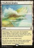 Magic the Gathering MTG Windbrisk Heights (336) Commander 2016   LP