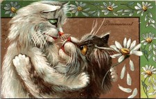 PC Passionnement Two Cats in Embrace With Each Other Daisy Peddles Falling Off