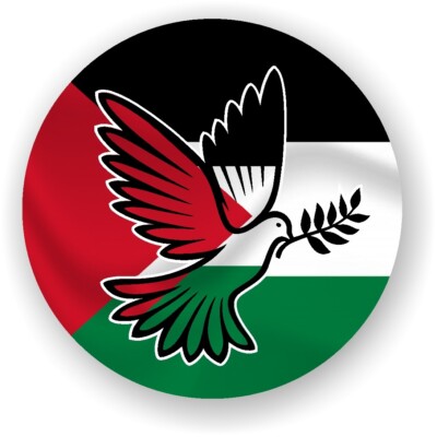 pañuelo palestina