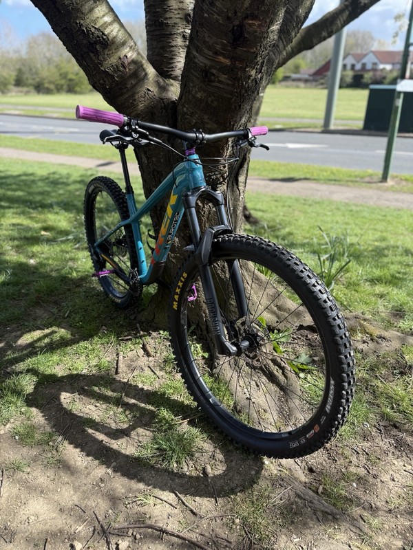 Trek Roscoe 7 (2024)