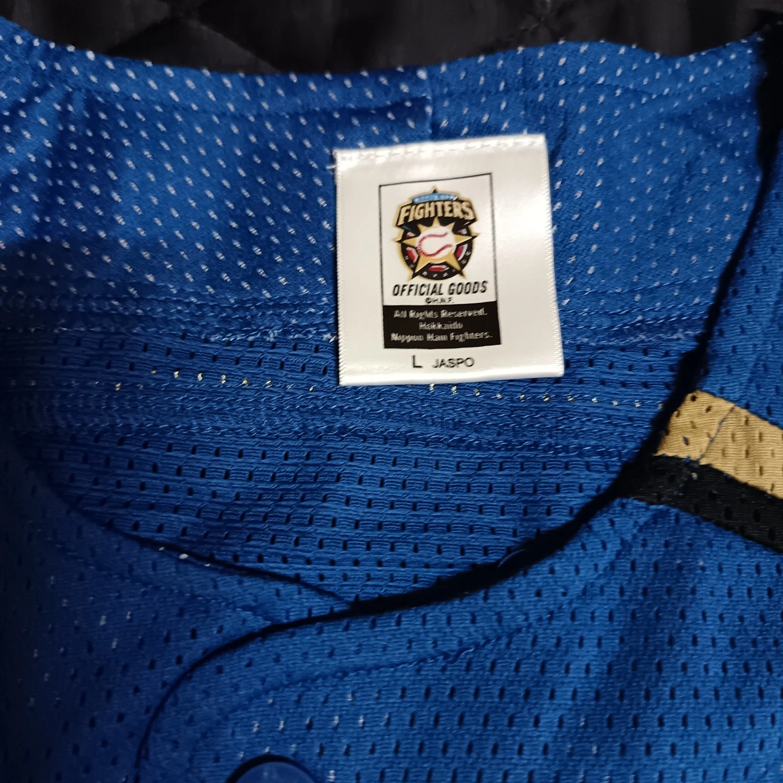 MLB Hokkaido Nippon-Ham Fighters Wang Po-Jung NPB Japanese Baseball Jersey Sz L - thumbnail 2