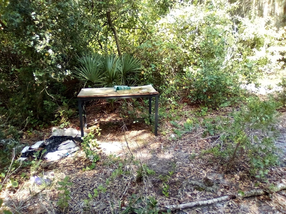 ¡Tierra de Florida rara de escritura! Cave Lake Rd. ¡Se permite acampar DeLeon Springs FL! Foto 3 de 4