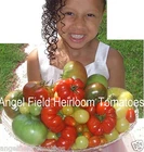 30 Mixed Heirloom Tomato Seeds "Plus 1 Packs of Vegetable Seeds