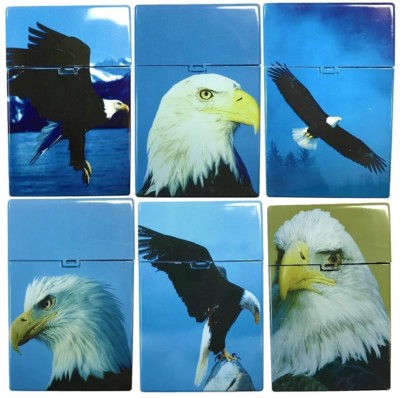 Eclipse Eagle Hard Plastic Crushproof Cigarette Case, 2ct, Kings, 3116D12