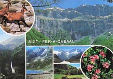 74 SIXT FER A CHEVAL CIRQUE DU FER A CHEVAL