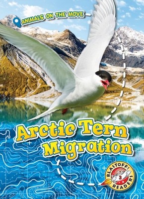 Arctic Tern Migration by Kari Schuetz HARDBACK 9781626178137