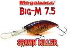 Megabass Big-M 7.5 Deep Diver Giant Killer Crankbait - SPAWN KILLER -