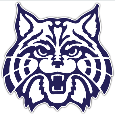 #ad Sticker Arizona Wildcats logo Die Cut Laminated Vinyl Decal $3.50