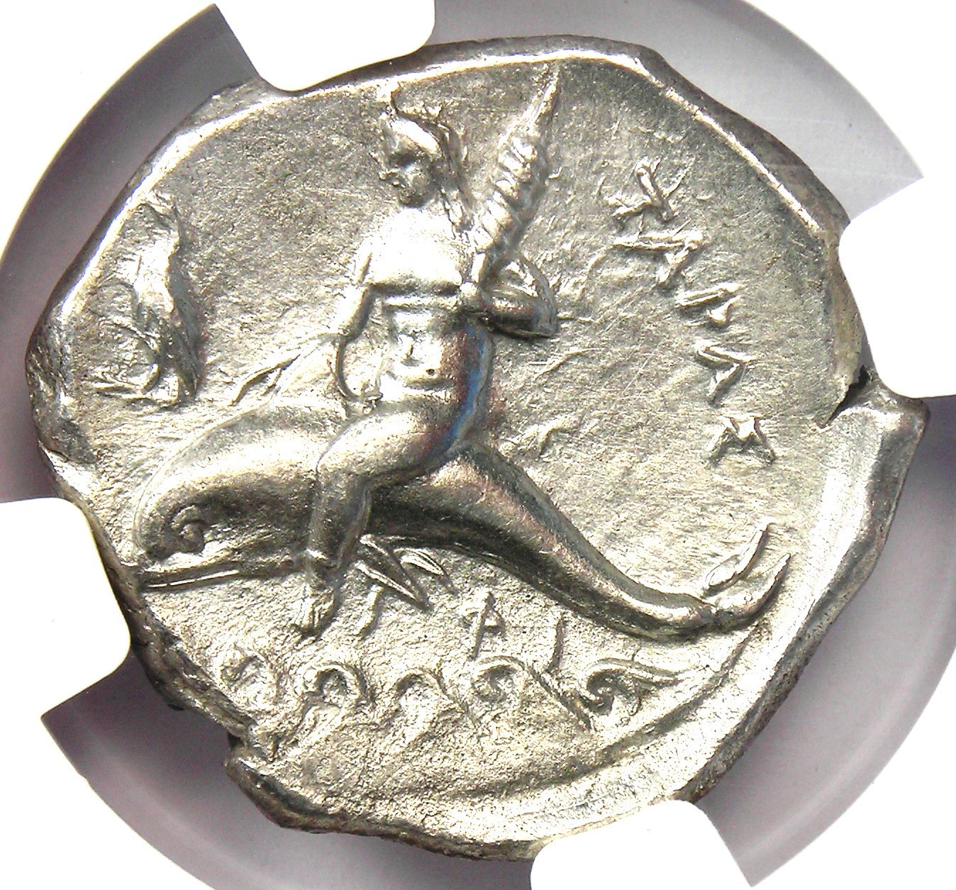 Calabria Taras AR Didrachm Silver Coin 302-280 BC - Certified NGC Choice AU