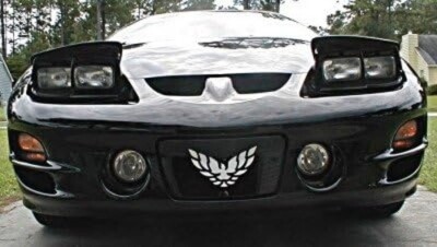 Pontiac Trans AM WHITE Front Nose Bird Emblem WS6 LS1 | eBay