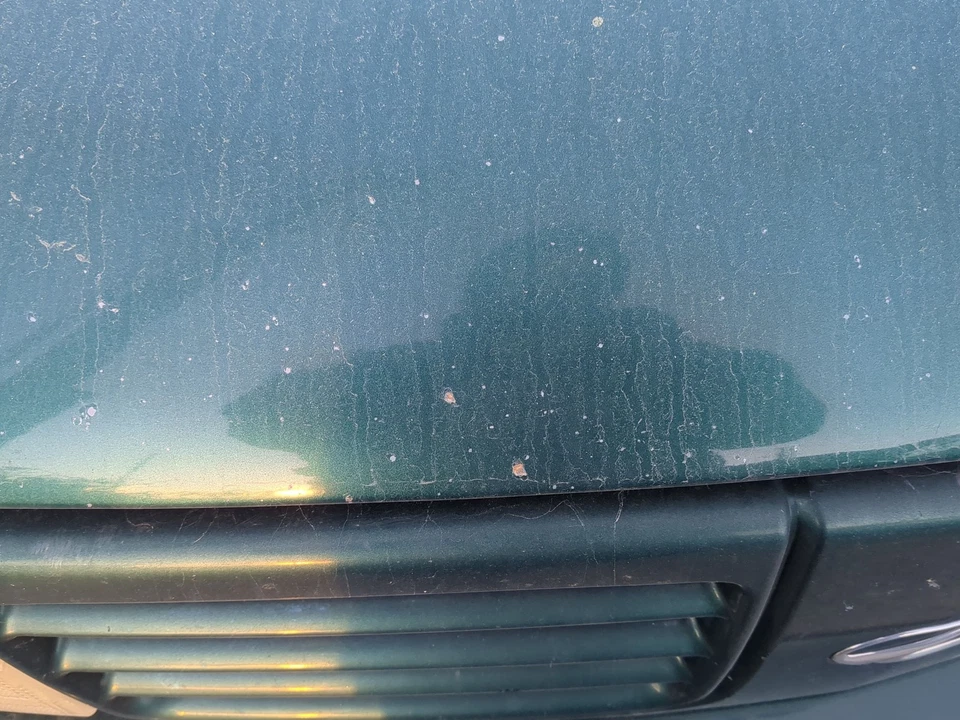 1996 - 2001 年 Oldsmobile Bravada Hood Oem PK9ST — 第 2/2 张图片