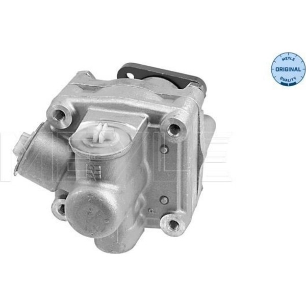 Meyle 114 631 0031 Hydraulikpumpe Lenkung FüR Audi VW A4 B5 Passat 8D2 8D5 3B2-image