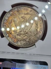 1886 P  S$1 Morgan Silver Dollar NGC MS 64 ☆ Nice Toning