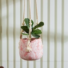 PalmBlush Hanging Planter with Macrame Plant Hanger