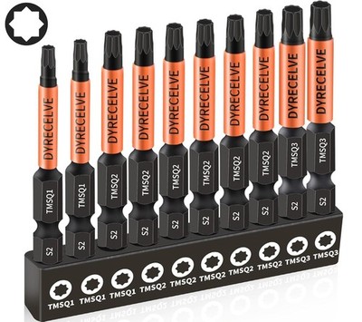 10pc 8 Point Torx Star & Double Square Bit Set
