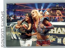 2011 WWE Champions #36 Michelle McCool