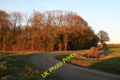 Foto 6x4 März Abendsonne auf Ziegeleiplantage Bucknall\/TF1768 c2015