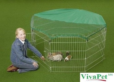 metal playpen for rabbits