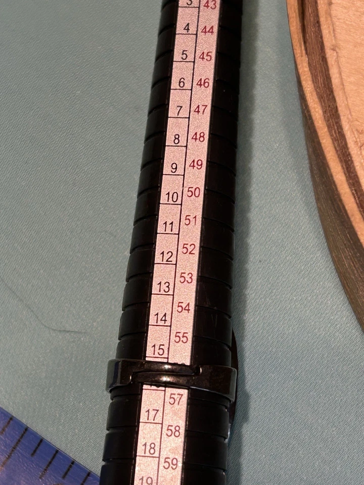 Collar clásico de plata y negro de Lia Sophia, ¡más pendientes de 2 piezas y anillo! Foto 4 de 4