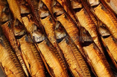 1kg Makrele Heilbutt Räucherfisch Aal Lachs Forelle  Fische