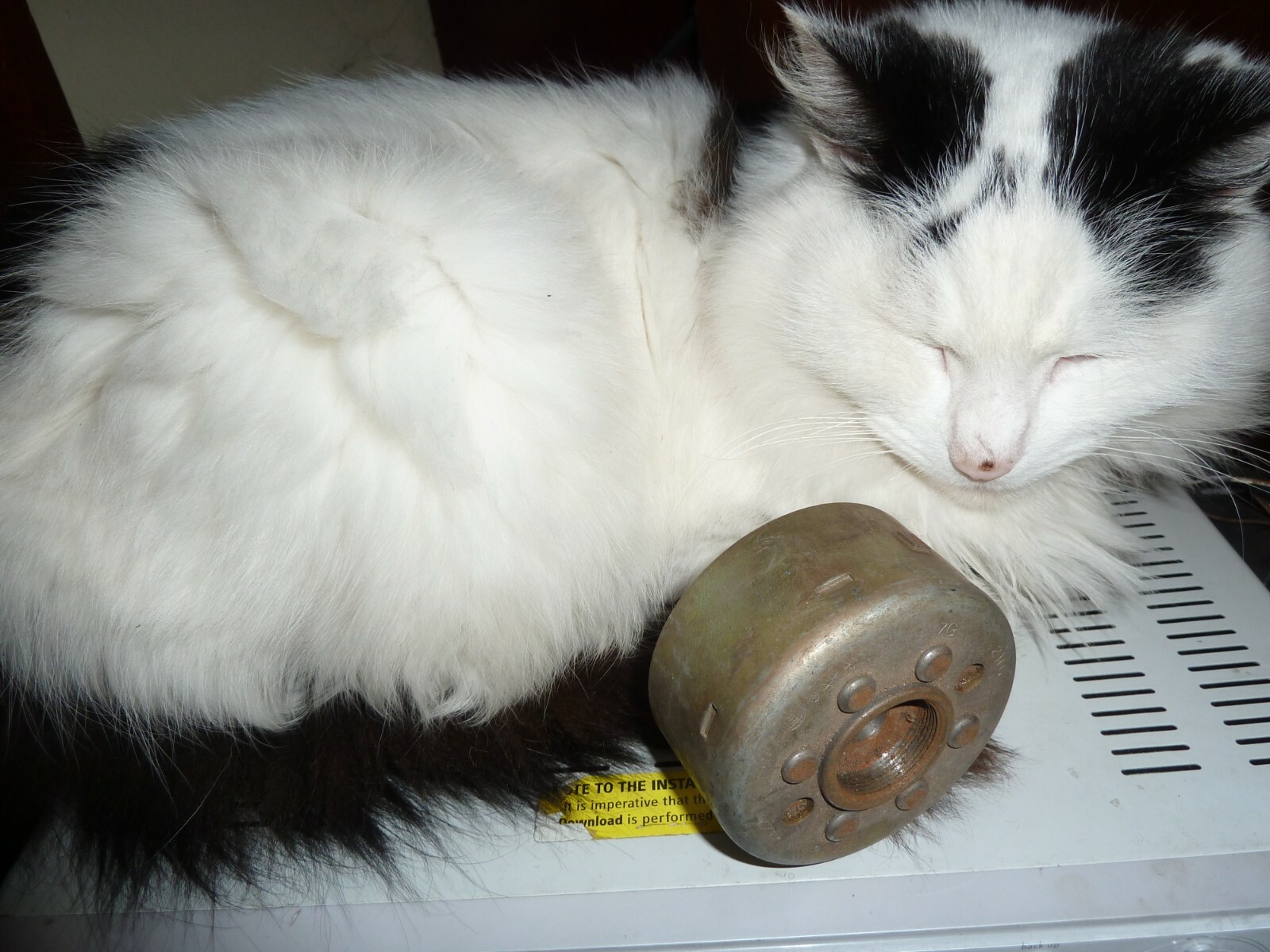 yamaha yz 125 1987 flywheel fp8167