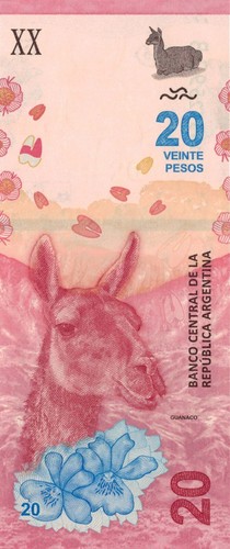 Argentina 20 Pesos (2017) - Guanaco/Patagonia/p361b, B417b Series B UNC - 第 3/3 張圖片