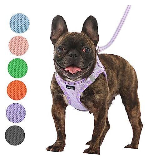 Dog Harness for Small and Medium Size Dogs, Soft XS (Chest:12.5"-14") Purple