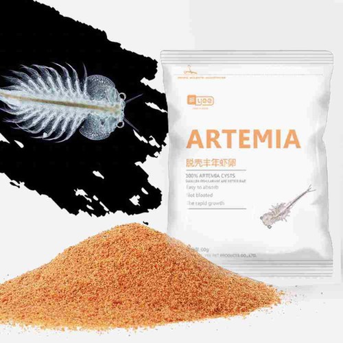 Hatching Brine Shrimp Eggs Juvenile Shelled Eggs Open Feed Fish Food Guppy O3L3 - Picture 9 of 13
