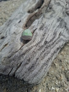 Genuine Surf Tumbled Seaglass