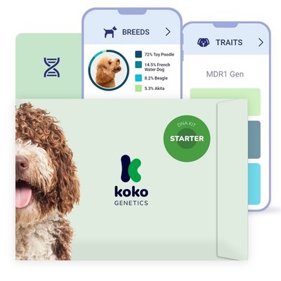 Koko Genetics Starter PLUS Dog DNA Test