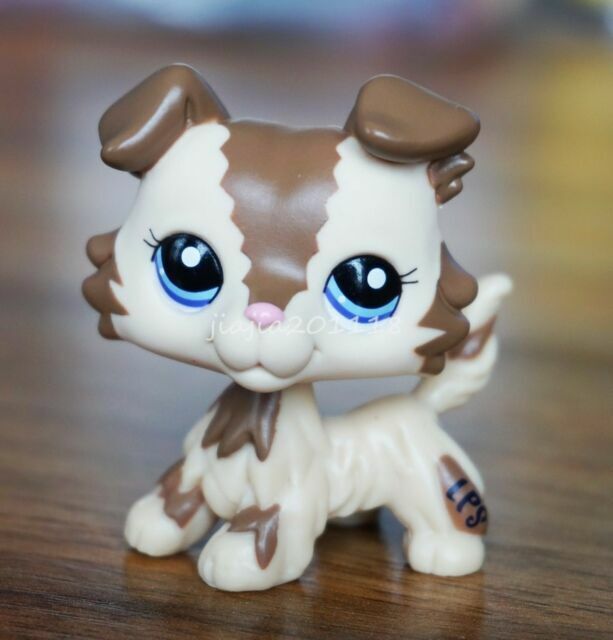 Hasbro Littlest Pet Shop LPS Collie Dog Puppy Blue Eyes Cream Tan Brown  #2210