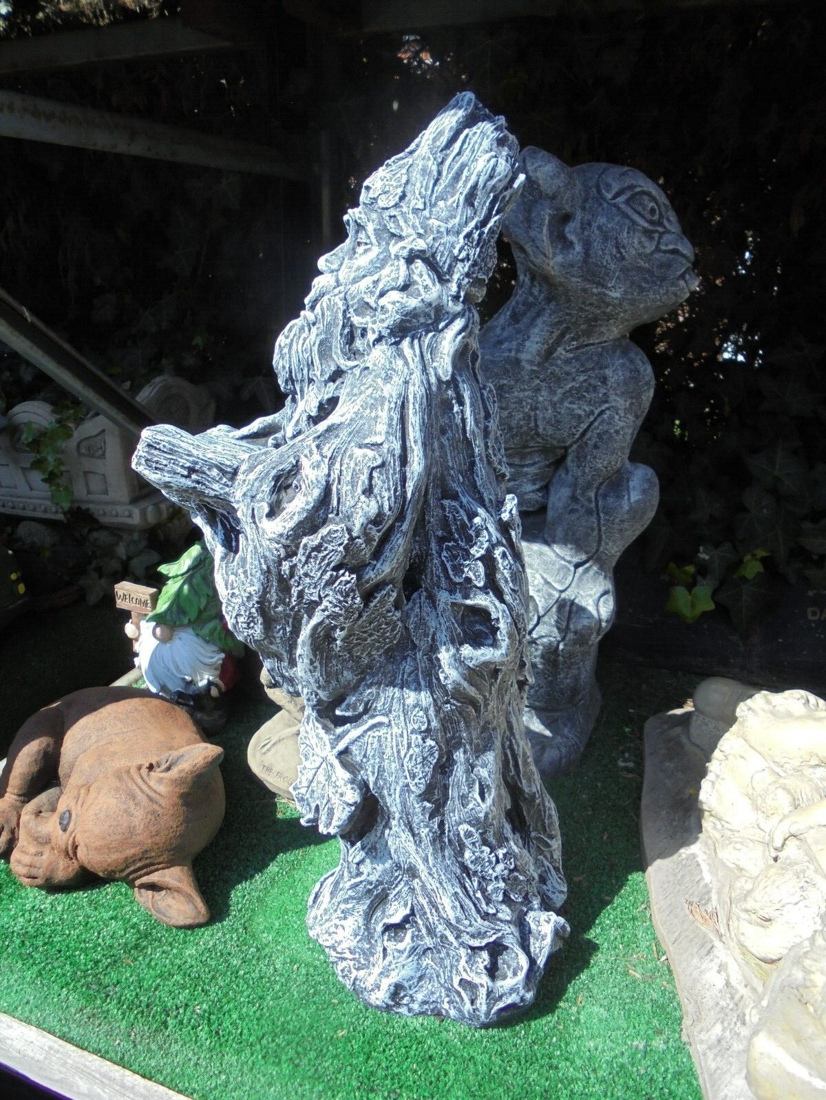 Picture 9 of 14