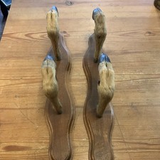 Scottish Roe Deer Hooves Taxidermy - Pair