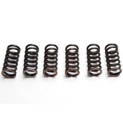 EBC Clutch Spring Set (6 PCS) Yamaha SR 250 4GR4 5 Plate Clutch 1994 - 1996